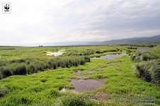 2 февраля день водно-болотных угодий