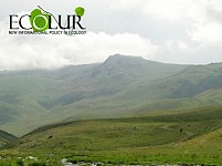 Results of Amulsar Gold Mining Document Study Results: Conclusions and Proposals