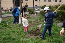 Посадка деревьев в общине Арагюх