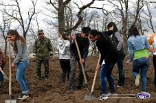 Around 4000 Plants Planted in Dilijan National Park