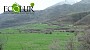 “Zangezour” Biospheric Complex: Question With No Answers “Zangezour” Biospheric Complex: Question With No Answers