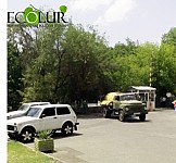 Վերջապես Երեւանում սկսվեց վնասատուների դեմ պայքար (Լուսանկարներ)