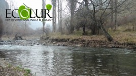 Environmental Specialist from PIU of State Committee on Water Industry: Azat River Will Preserve Environmental Flow