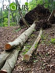 Within 2012-2014 “Dilijan” and “Sevan” National Parks Separated by the Number of Illegal Deforestation in the Specially Protected Areas of Armenia