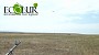 If Yeghvard Reservoir Reconstruction is Implemented, Water Intake from Lake Sevan will Be Reduced by 50 Million Cubic Meters