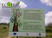 WWF Armenia Planted Around  3,000,000 Trees in 2008-2015
