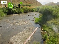 Река Памбак находится в очень плохом санитарном состоянии (Фото)