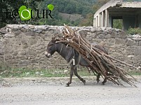 Гегаркуникский марз: Как выжить зимой? (Фото)