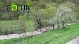 Human Right To Live in Healthy and Favorable Environment Missing from Draft Constitution of Armenia