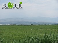 It's Known that How Many Land Areas Allotted for Soil Management, Agriculture and Nature Protection