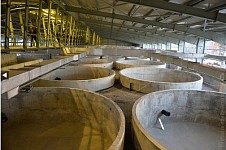 Президент РА Серж Саргсян ознакомился с процессом строительства рыбного комплекса