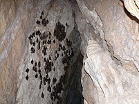Пещера Магела не должна быть использована в туристических целях