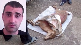 Hunting Case of Red-Listed Bezoar Goat in Vayots Dzor