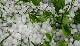 21 Communities in Armavir Region Suffered from Heavy Hail