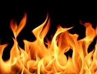 Again Fire in “Arevik” National Park