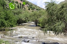 World Bank Suspended Examination of Garni Residents' Complaints by 2017