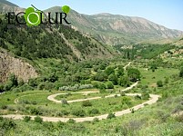«Խոսրովի անտառ» պետական արգելոցում այրվել է մոտ 15 հա տարածք