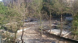 Չորացել են Մաշտոցի պողոտային հարակից այգու ծառերը (Լուսանկարներ)