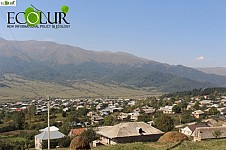 «Անտառը շատ լավ վիճակում է, իսկ մենք շատ վատ». փայտի կարիքը անտառամերձ Մարգահովիտում