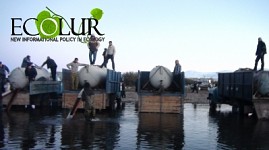 2016թ-ին Սևանա լիճ է բաց թողնվել 921  հազար հատ մանրաձուկ