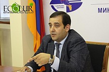 Три государственных некоммерческих организаций министерства охраны природы будут объединены