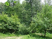 Компания 