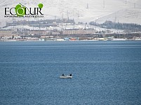 В результате неурегулированного лова в озере Севан даже запасы карася сократились в два раза