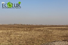 Armavir Regional Head Promised to Supply Water to Taronik Community