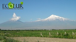 Արարատյան դաշտում նկատվում է բացառիկ երևույթ