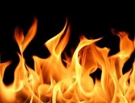 Пожары в зеленых зонах