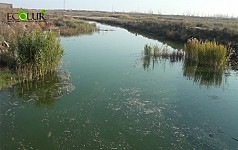 Water Quality of Sevjur River Supplying Water to Nuclear Power Plant Deteriorated
