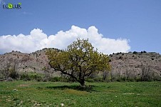 «Խոսրովի անտառ» պետական արգելոցի սահմանների խնդիրը չի լուծվել