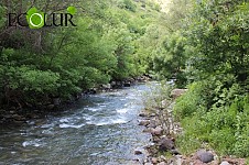 Yeghegis Community Head: Fish Disappearing Because of SHPPs