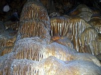 Names of Companies Wanting To Lease 'Magelan', 'Bear', 'Mozrov, 'Areni 1' and 'Stone Doors' Caves Known
