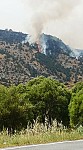Juniper Forests in Artavan on Fire: Emergency in Vayots Dzor