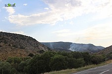 What Kind of Fine May Be Imposed, If A Whole Forest Burns Down Because of One Match or Unextinguished Cigarette