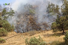 Fire  Broken Out of Enemy's Quick Squirt in Arevik National Park Extinguished