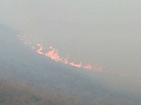 100 Sq. M. Area of New Fire Spot in Khoustoup Reserve Extinguished