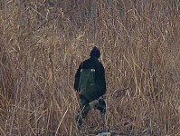 В 2017 году министерство охраны природы РА предоставило в два раза больше разрешений на любительскую охоту по сравнению с 2016 годом