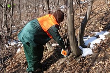 In Gugarq and Hrazdan 100% Forest Recovery Planned Due to Works