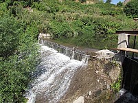 Monitoring Findings of 