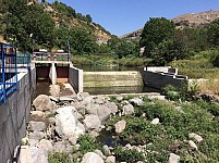 Monitoring Findings of 