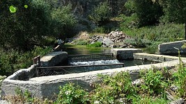 Monitoring Findings of 