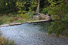 Monitoring Findings of 