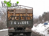 Armenia Annually Consumes 1.5 Million Cum Fuelwood