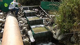 Monitoring Findings of 