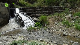 Monitoring Findings of 