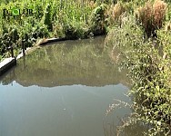 Monitoring Findings of 