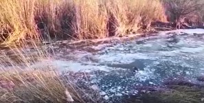 Տեսուչներին չի հաջողվել պարզել, թե որտեղից է փրփուրանման կասկածելի զանգվածը լցվում Հրազդան գետ
