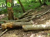Nature Protection Ministry Clarifying Statement Disseminated by RA Prosecutor's Office